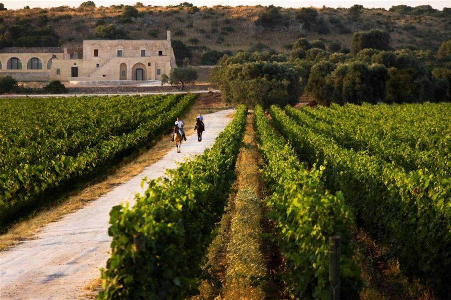 Masseria Le Fabriche Maruggio, Salento - Italy