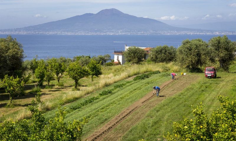 Relais Regina Giovanna Sorrento - Italy