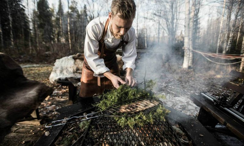 Tree Hotel Harads - Sweden