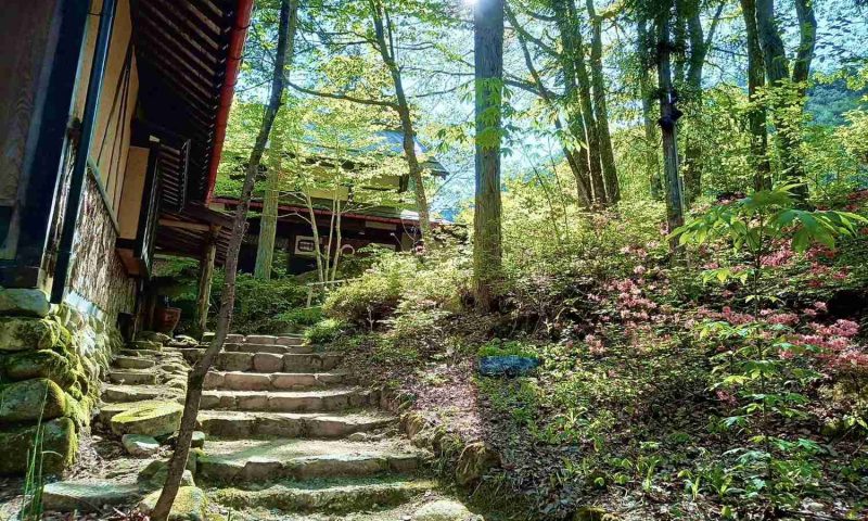 Ryokan Wanosato Takayama - Japan