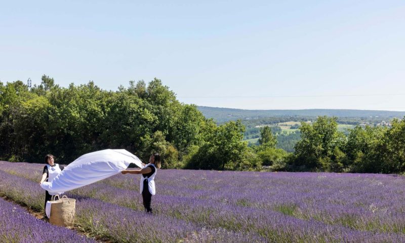 Le Mas Du Terme Barjac, Languedoc - France
