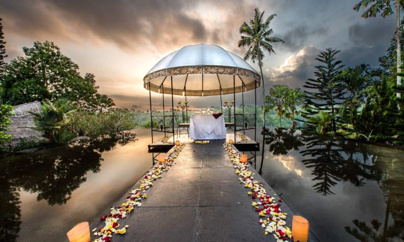 Kupu Kupu Barong Bali - Indonesia