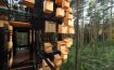 Tree Hotel Harads - Sweden