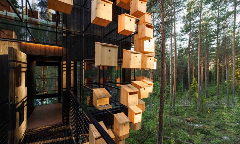 Tree Hotel Harads - Sweden