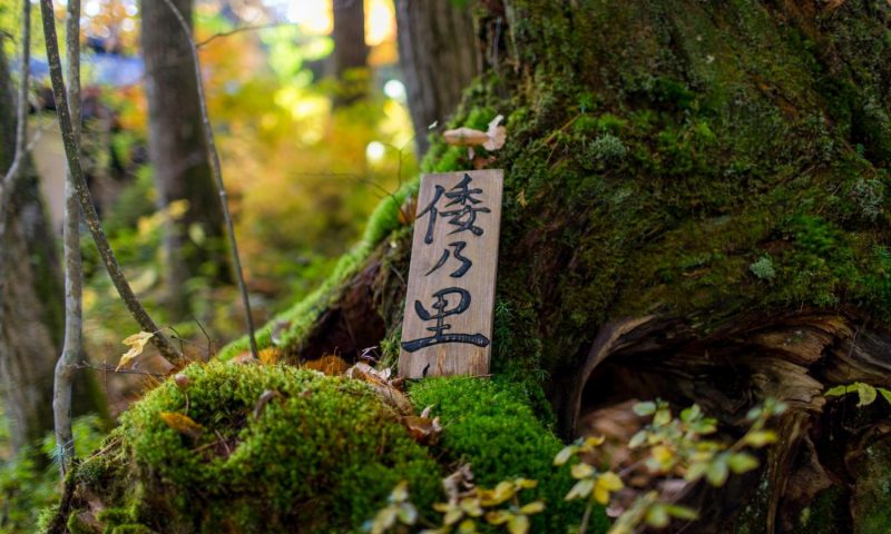 Ryokan Wanosato Takayama - Japan
