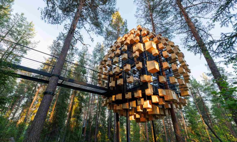 Tree Hotel Harads - Sweden