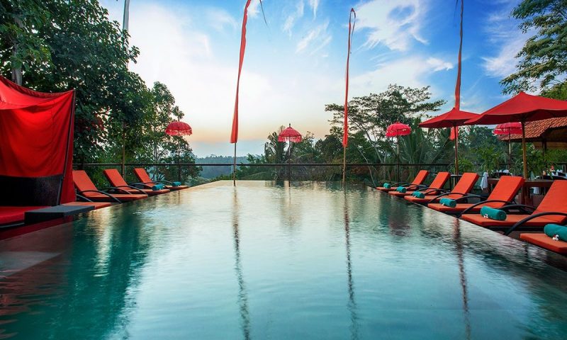 Kupu Kupu Barong Bali - Indonesia
