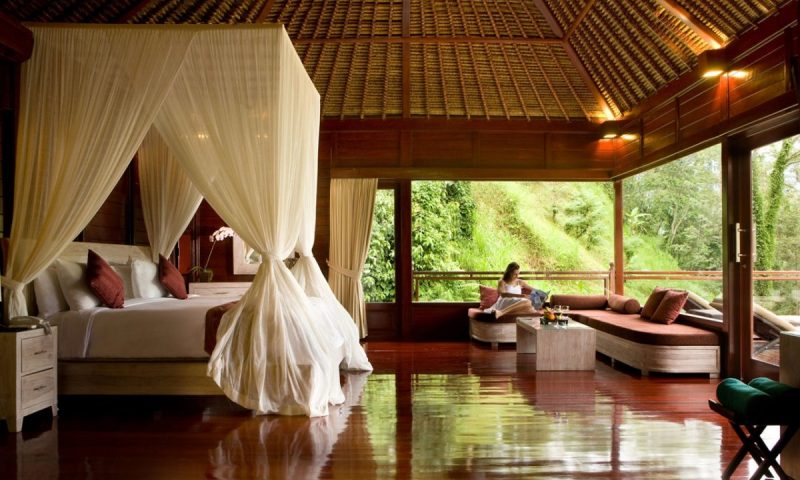 Kupu Kupu Barong Bali - Indonesia