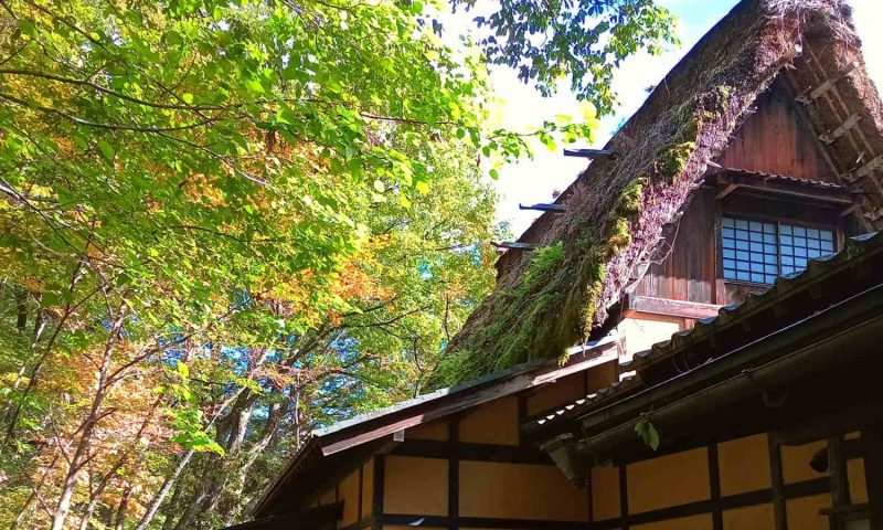 Ryokan Wanosato Takayama - Japan