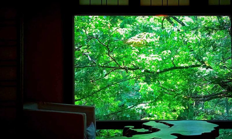 Ryokan Wanosato Takayama - Japan