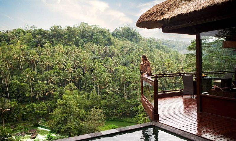 Kupu Kupu Barong Bali - Indonesia