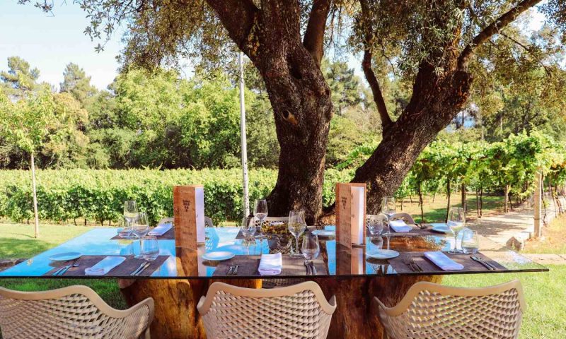 Torre de Gomariz Wine & Spa Hotel - Portugal