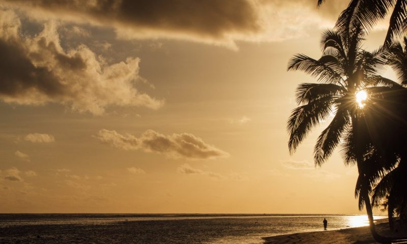 The Little Polynesian Rarotonga - Cook Islands