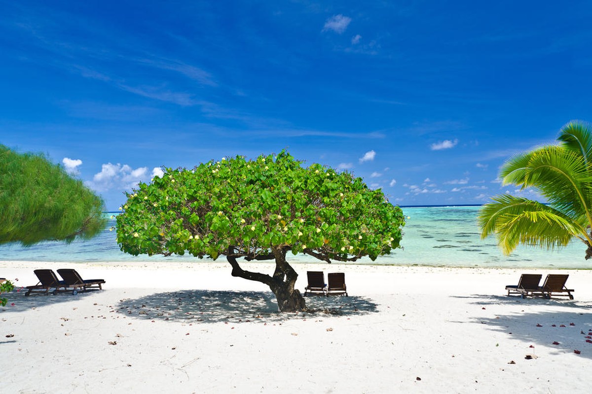Etu Moana Boutique Villas Aitutaki - Cook Islands