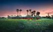 Jack's Camp Botswana