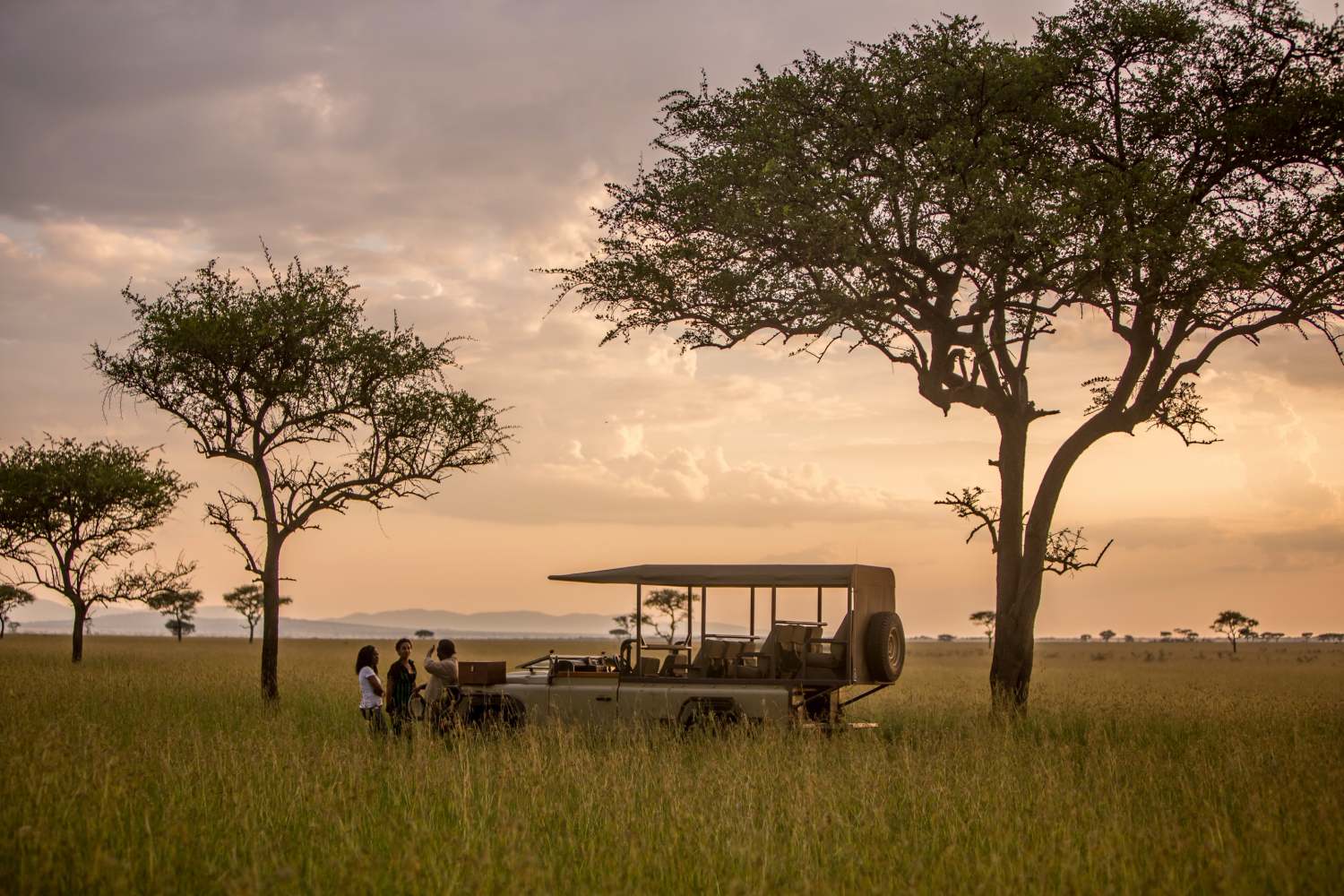 Singita Grumeti Sasakwa Lodge - Tanzania