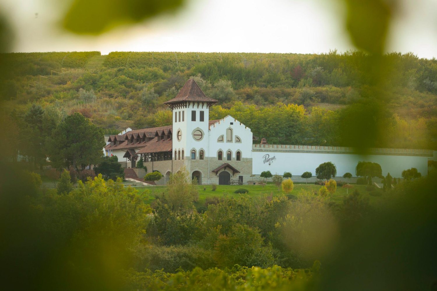 Chateau Purcari - Moldova